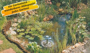 Mein neuer Gartenteich