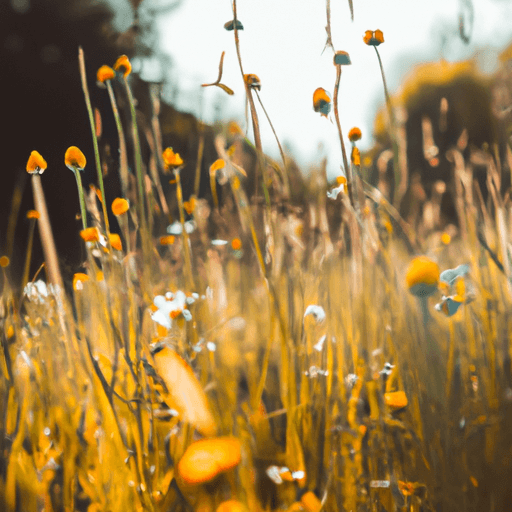 Verschiedene Blumen auf der Wiese