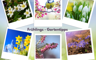 Gartentipps für den Frühling: Eine Einführung mit Checkliste
