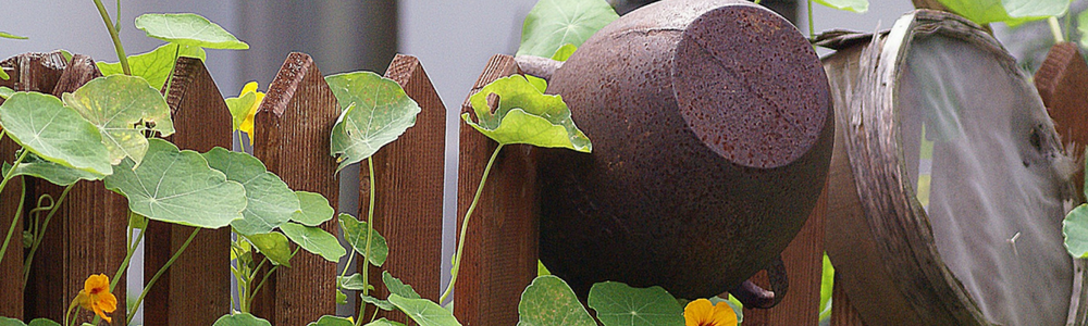 Gartenschränke hinter dem Gartenzaun