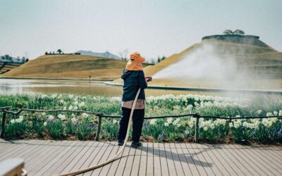 Wie bewässere ich meinen Garten automatisch?