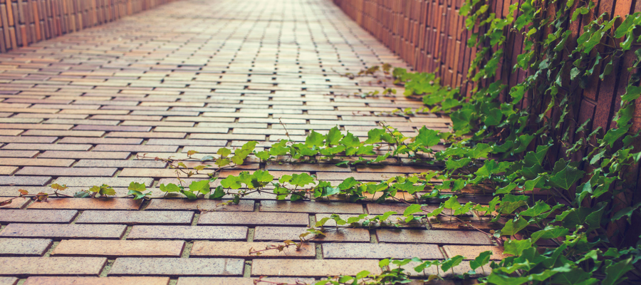 Wege mit Platten im Mörtelbett