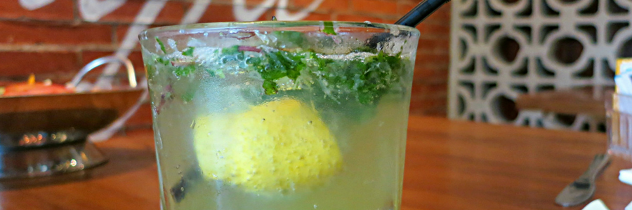 Infused Water mit Zitrone