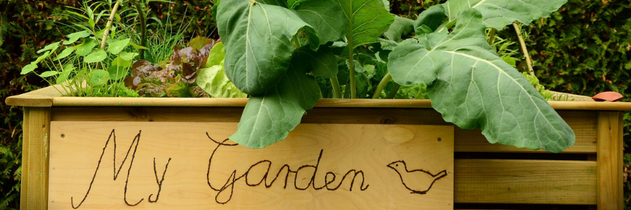 4 Tipps für einen frischen Frühlingslook im Garten