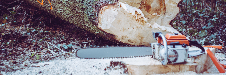 Kettensäge-2-Canva Gesetz für Fällarbeiten