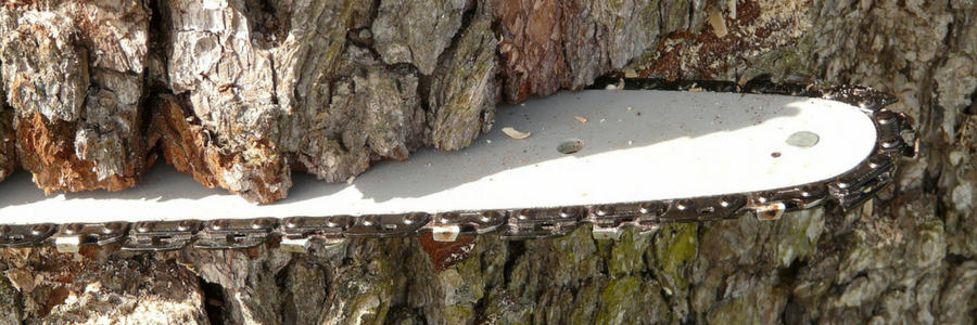 Die Kette einer Kettensäge muss immer scharf sein, sonst wird das gewünschte Resultat nicht erzielt.