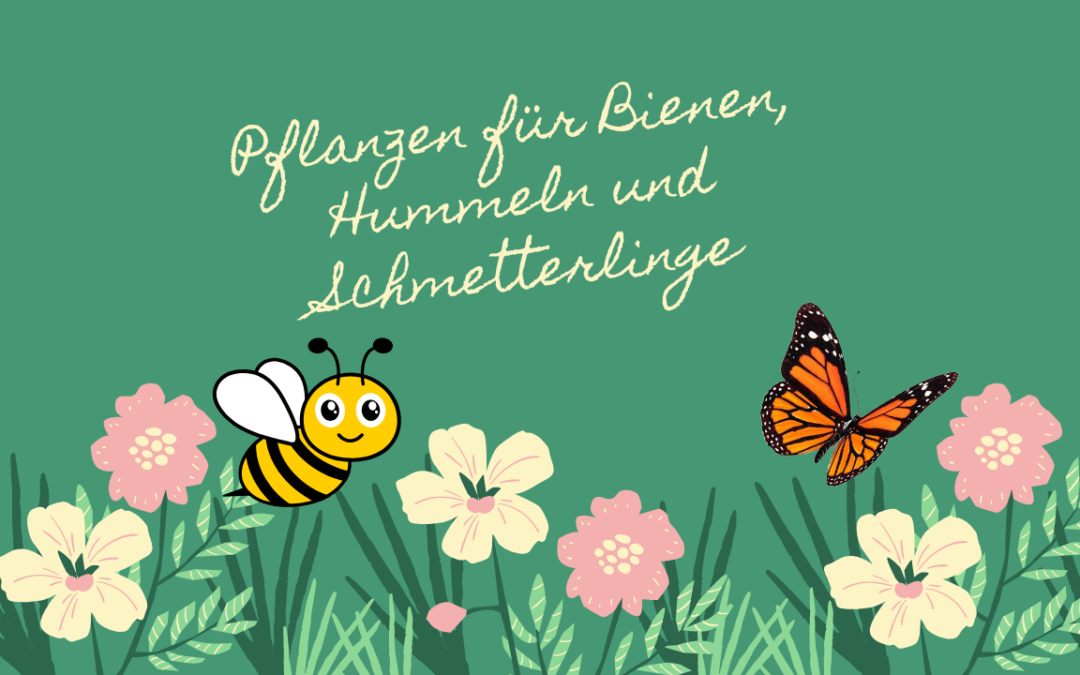 Pflanzen für Bienen, Hummeln und Schmetterlinge