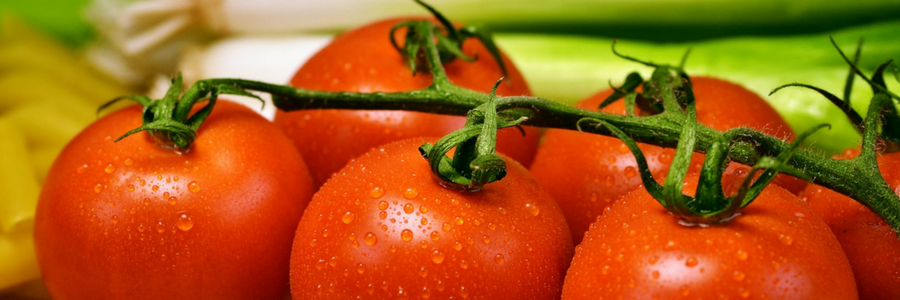 Reife Tomaten