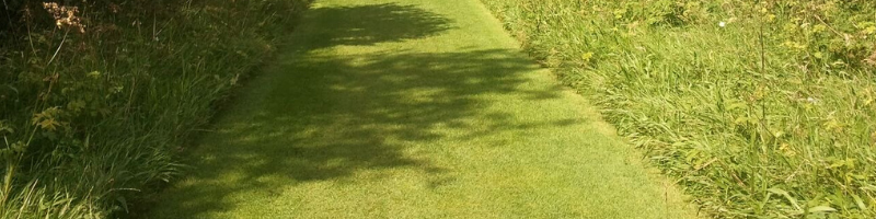 Rasenkanten – Zuverlässige Trennung zwischen Blühpflanzen und Grünflächen