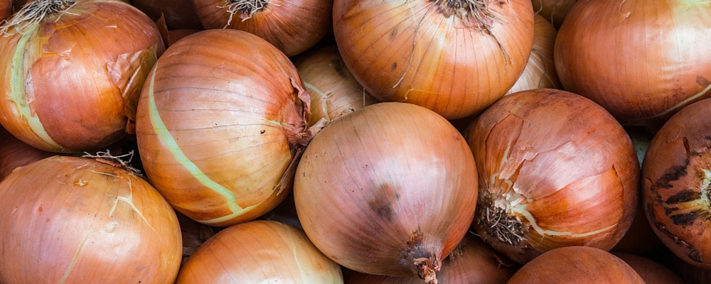 Gemüse über Winter lagern