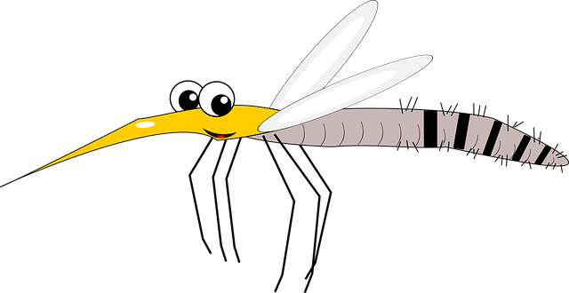 Moskito Mücken sind Nasentiere